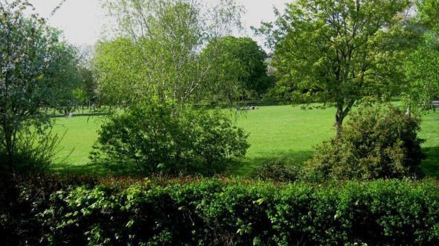Woodbine City Rooms Exeter Luaran gambar